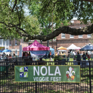 Veggie fest 2017